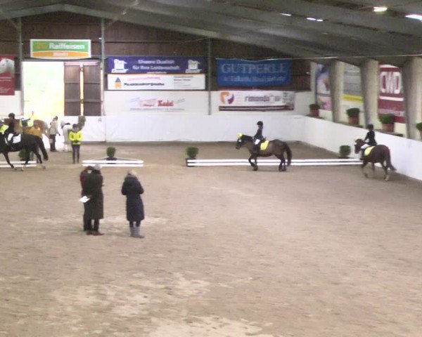 Reitturnier Viernheim 2018