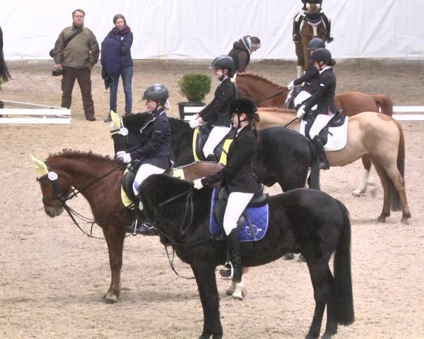 Reitturnier Viernheim 2018