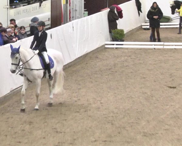 Reitturnier Viernheim 2018