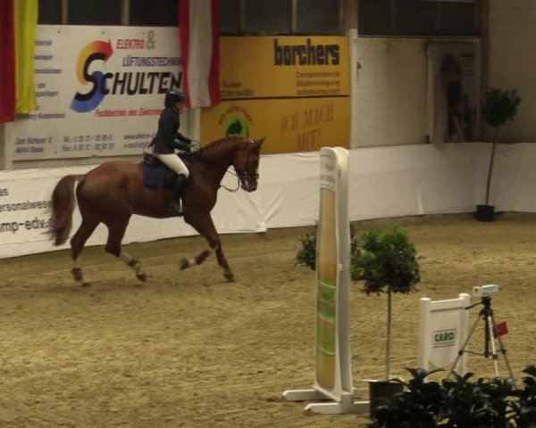 Reitturnier Borken 2018