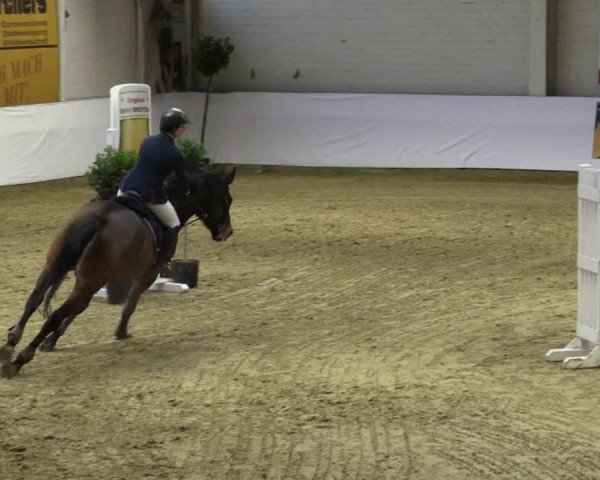 Reitturnier Borken 2018