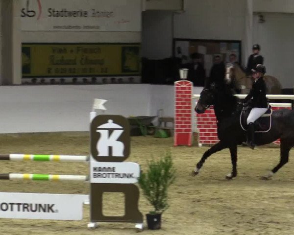 Reitturnier Borken 2018