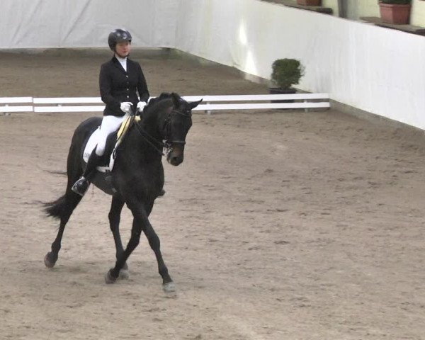 Reitturnier Viernheim 2018