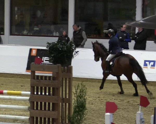 Reitturnier Borken 2018