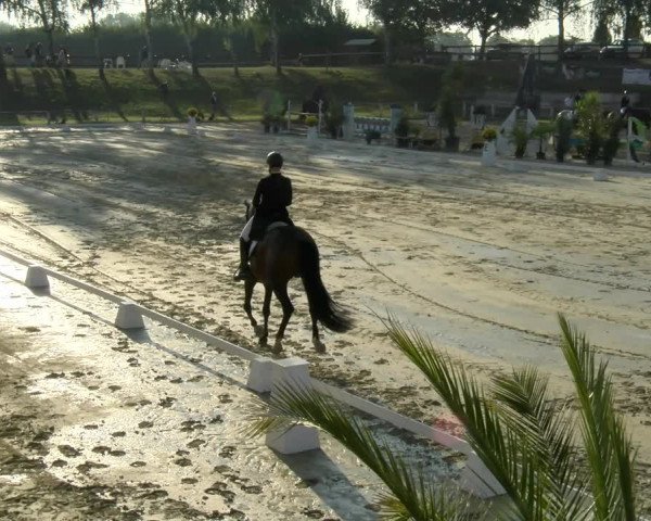 Reitturnier Reilingen 2021
