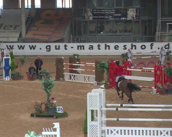 FEI Reitturnier Kreuth (GER) 2018