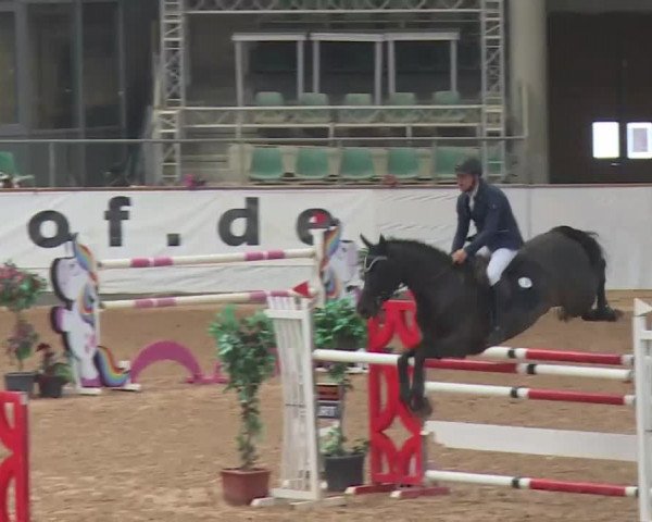 FEI Reitturnier Kreuth (GER) 2018