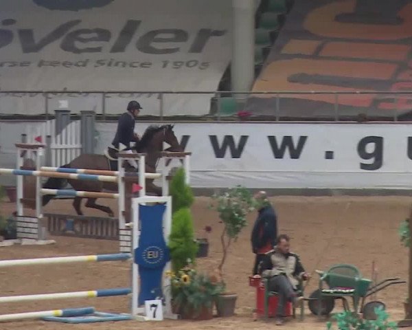 FEI Reitturnier Kreuth (GER) 2018