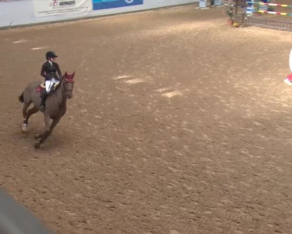 FEI Reitturnier Kreuth (GER) 2018
