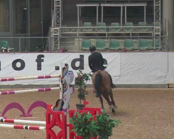 FEI Reitturnier Kreuth (GER) 2018
