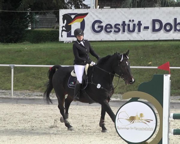 Reitturnier Durmersheim-Hardt 2021