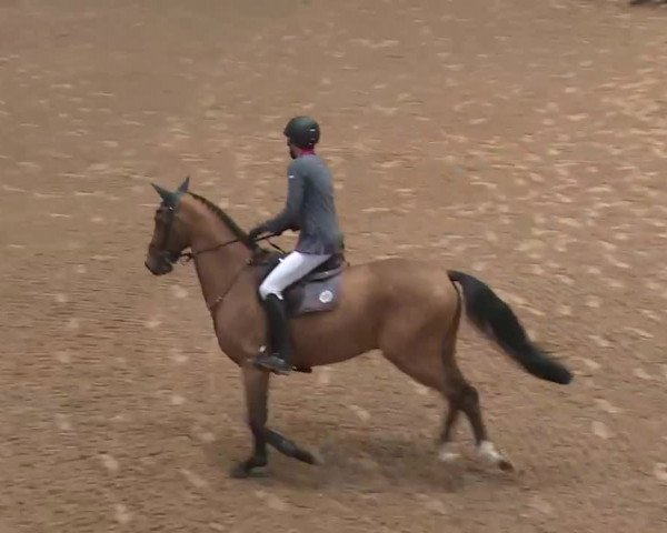 FEI Reitturnier Kreuth (GER) 2018
