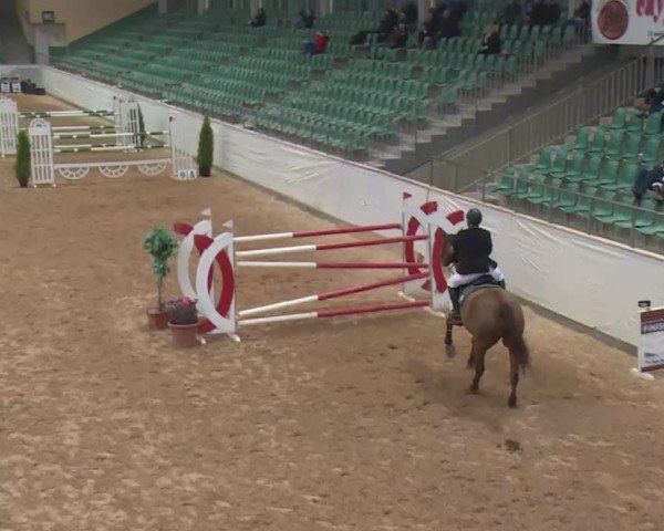 FEI Reitturnier Kreuth (GER) 2018