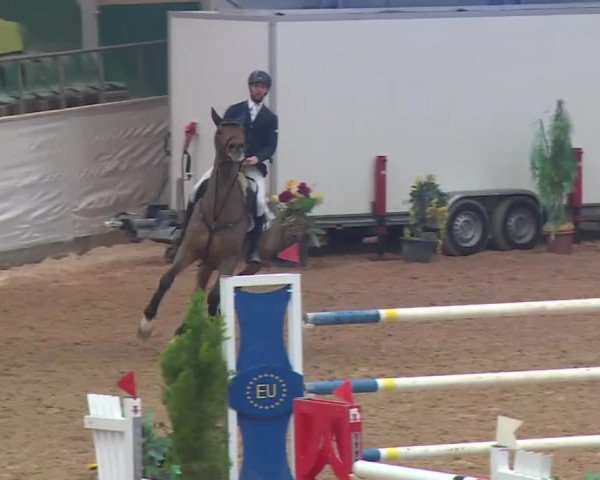FEI Reitturnier Kreuth (GER) 2018