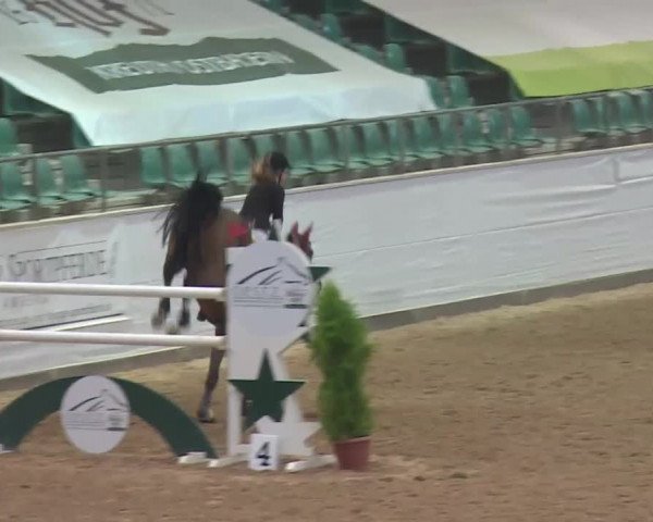 FEI Reitturnier Kreuth (GER) 2018