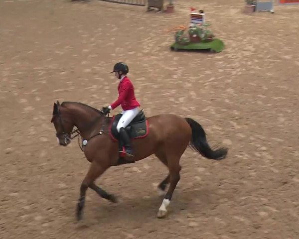 FEI Reitturnier Kreuth (GER) 2018
