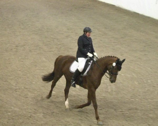 Reitturnier Viernheim 2018
