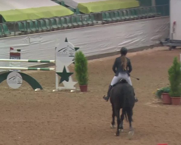 FEI Reitturnier Kreuth (GER) 2018