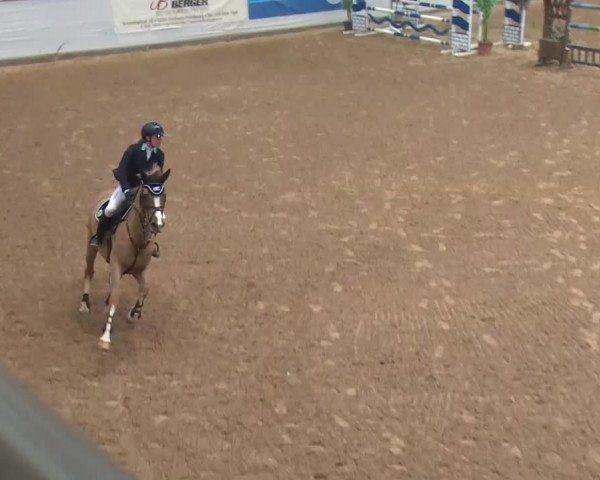 FEI Reitturnier Kreuth (GER) 2018