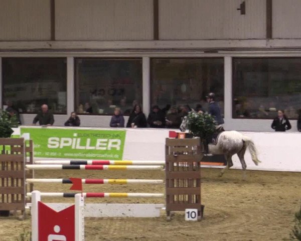 Reitturnier Borken 2018