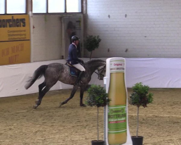 Reitturnier Borken 2018