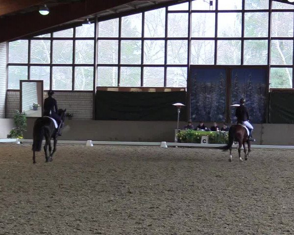 Reitturnier Kamen 2018