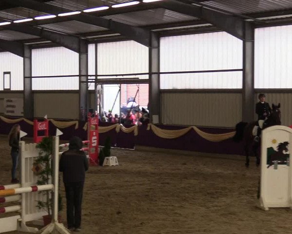 Reitturnier Arnsberg-Voßwinkel 2018
