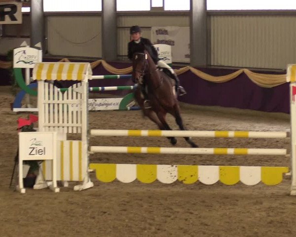 Reitturnier Arnsberg-Voßwinkel 2018