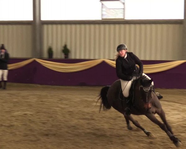 Reitturnier Arnsberg-Voßwinkel 2018