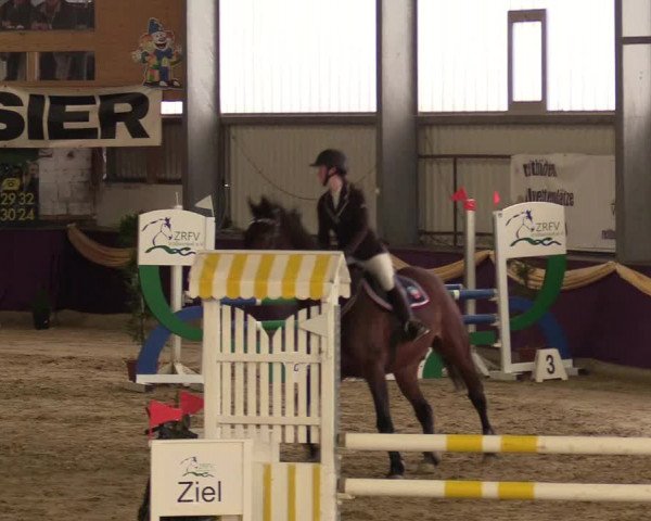 Reitturnier Arnsberg-Voßwinkel 2018