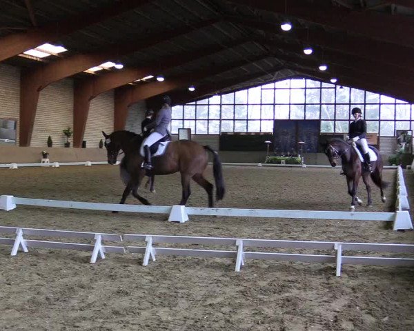 Reitturnier Kamen 2018