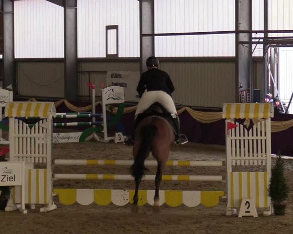 Reitturnier Arnsberg-Voßwinkel 2018