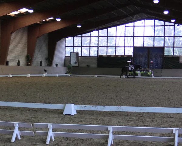 Reitturnier Kamen 2018