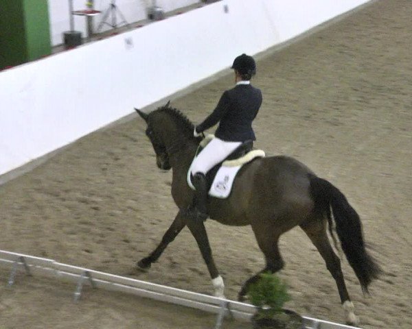 Reitturnier Viernheim 2018