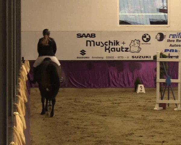 Reitturnier Arnsberg-Voßwinkel 2018