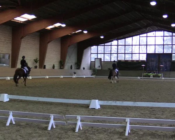 Reitturnier Kamen 2018