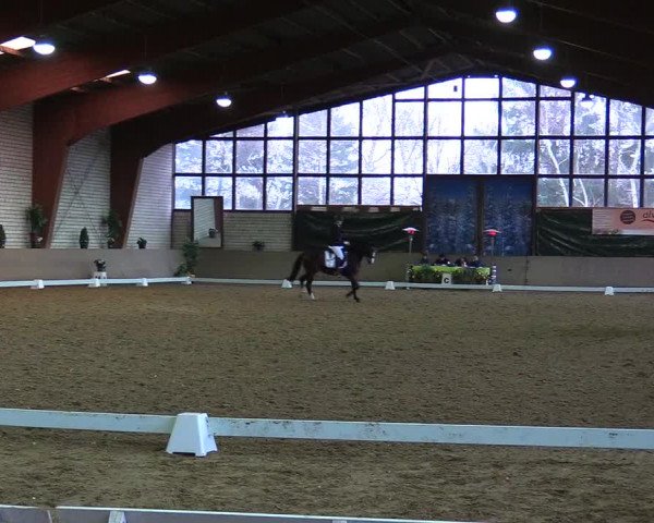 Reitturnier Kamen 2018