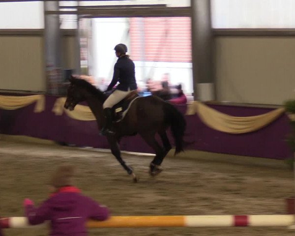 Reitturnier Arnsberg-Voßwinkel 2018