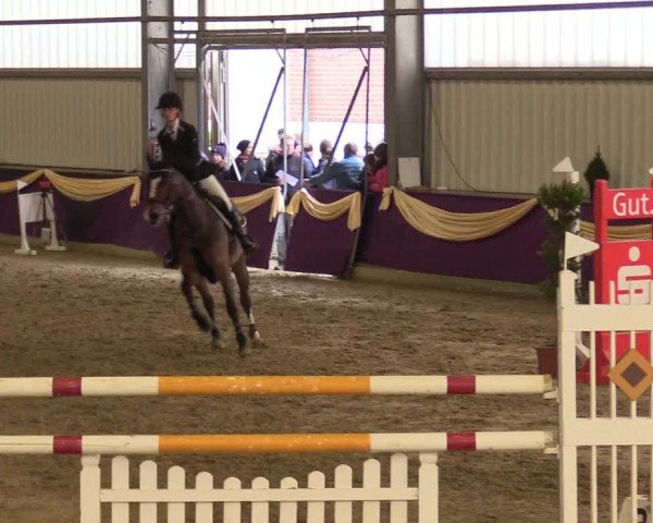 Reitturnier Arnsberg-Voßwinkel 2018
