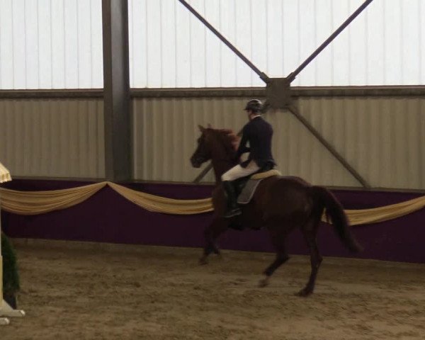Reitturnier Arnsberg-Voßwinkel 2018