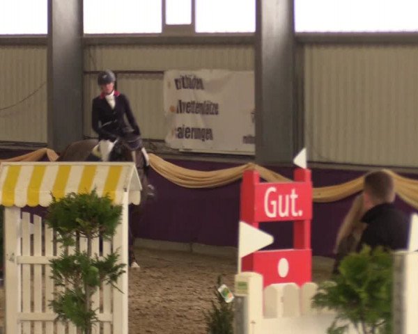 Reitturnier Arnsberg-Voßwinkel 2018