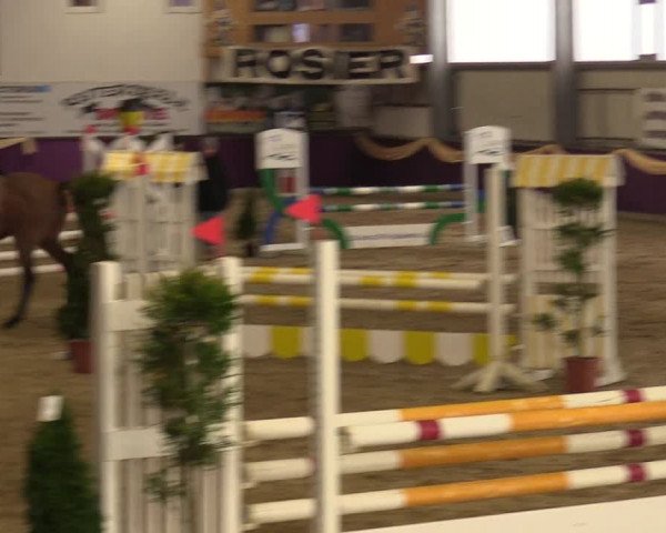 Reitturnier Arnsberg-Voßwinkel 2018