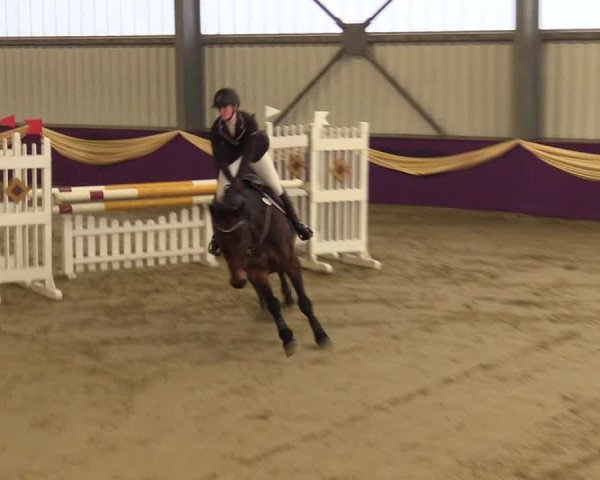 Reitturnier Arnsberg-Voßwinkel 2018