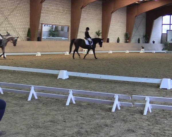 Reitturnier Kamen 2018