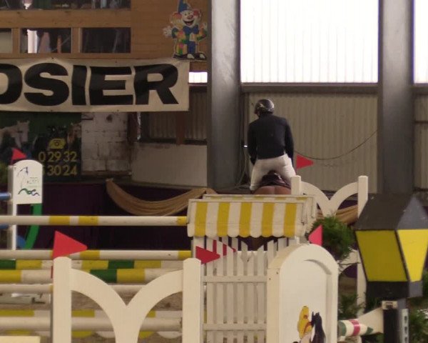 Reitturnier Arnsberg-Voßwinkel 2018