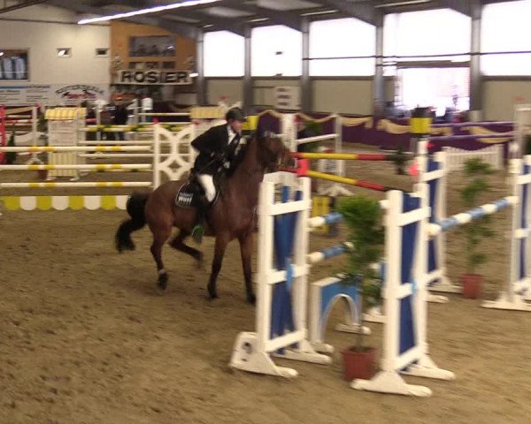 Reitturnier Arnsberg-Voßwinkel 2018