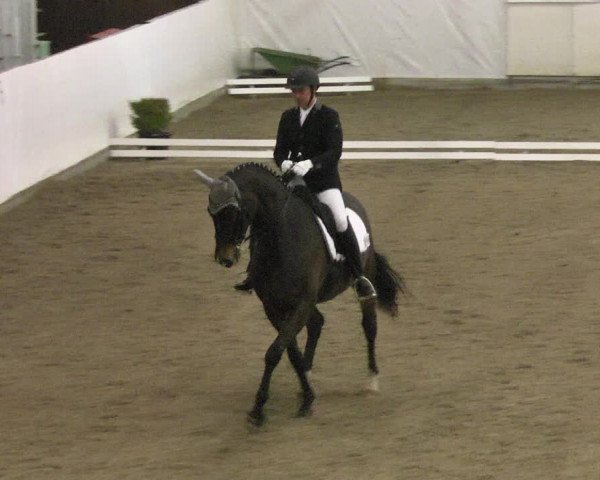 Reitturnier Viernheim 2018