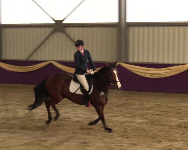 Reitturnier Arnsberg-Voßwinkel 2018