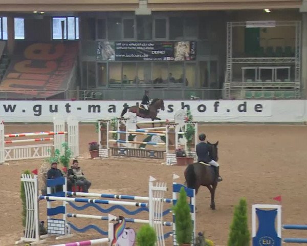 FEI Reitturnier Kreuth (GER) 2018