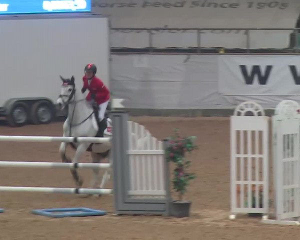 FEI Reitturnier Kreuth (GER) 2018